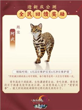天龙八部永恒1314私服